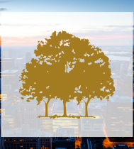 logo 1747714926 canopy growth weed to
